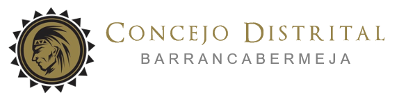 Concejo Distrital de Barrancabermeja